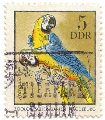 Zoologischer Garten Magdeburg - Ararauna
