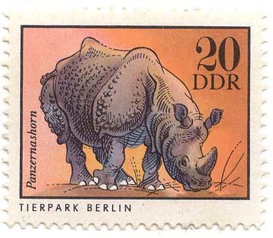 Tierpark Berlin - Panzernashorn
