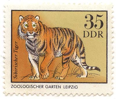 Zoologischer Garten Leipzig - Sibirischer Tiger
