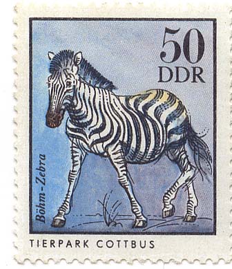 Tierpark Cottbus - BÃ¶hm-Zebra
