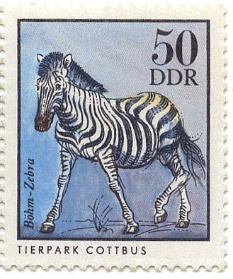 Tierpark Cottbus - BÃ¶hm-Zebra
