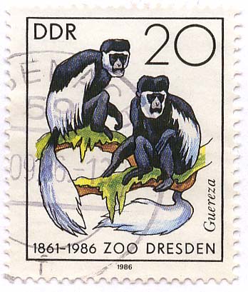 1861-1986 - Zoo Dresden - Guereza
