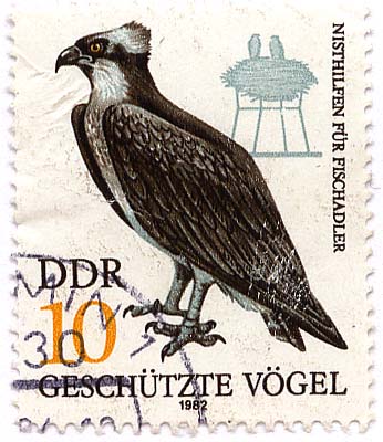 GeschÃ¼tzte VÃ¶gel - Nisthilfen fÃ¼r Fischadler
