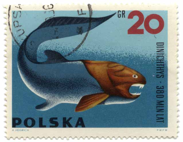 Dinichthys - 380 Mln Lat
