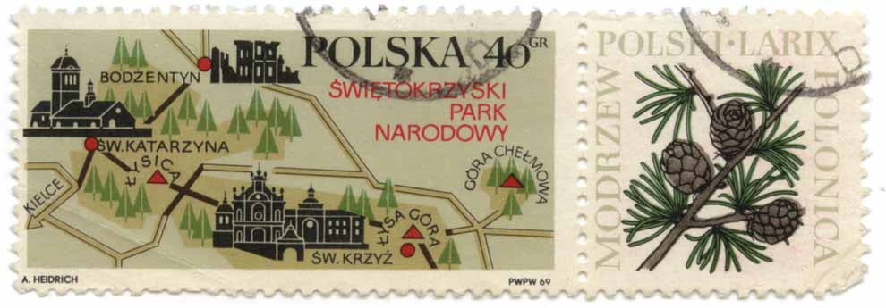 ÅšwiÄ™tokrzyski Park Narodowy - Modrzew Polonica - Polski - Karix