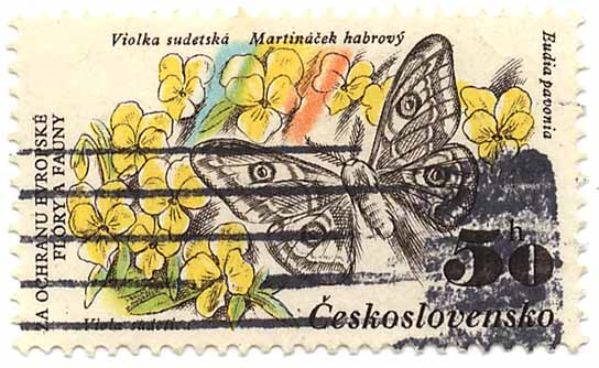 Za Ochranu EvropskÃ© FlÃ³ry a Fauny - Violka sudetskÃ¡ - MartinaÄek habrovÃ½ - Eudia pavonia