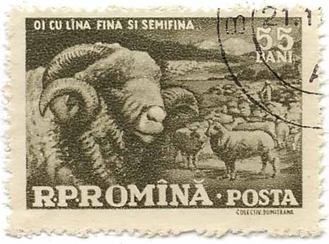 Oi cu lÃ®na fina si semifina