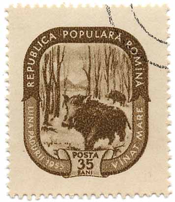 Luna Padurii - Vinat Mare - Republica Populara Romanica
