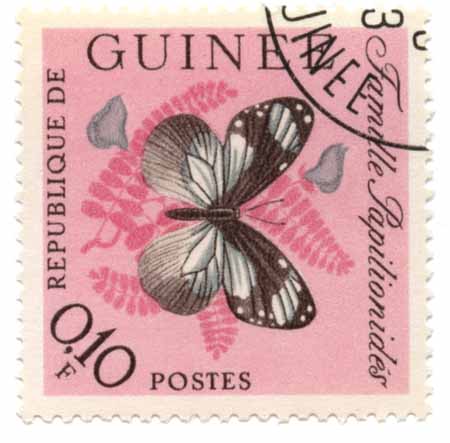 Famille Papilionides - Republique de Guinee