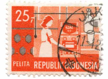 Pelita Republik Indonesia