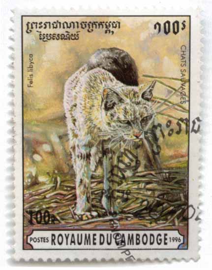 Postes Royaume du cambodge - chats sauvages