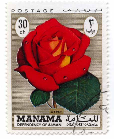 Manama - Dependency of Ajman - Gypsy