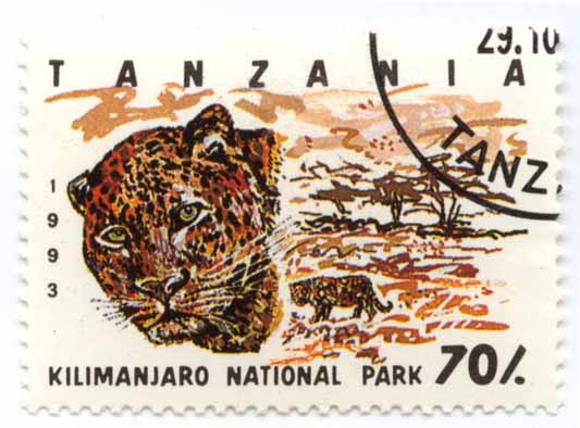 Kilimanjaro National Park - Tanzania