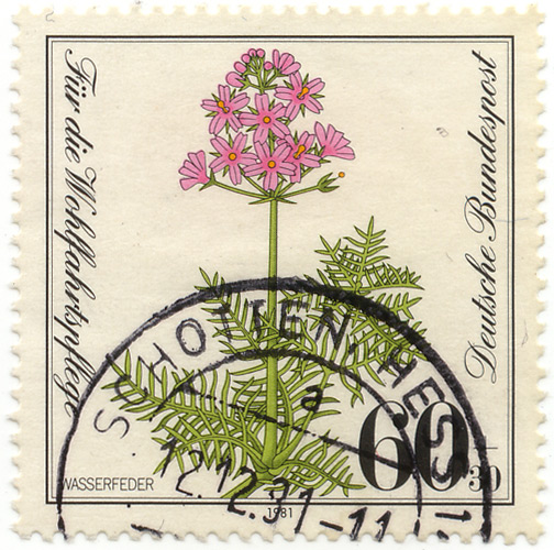 FÃ¼r die Wohlfahrtspflege - Wasserfeder