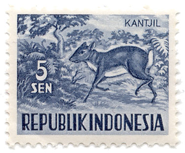 Kantjil
