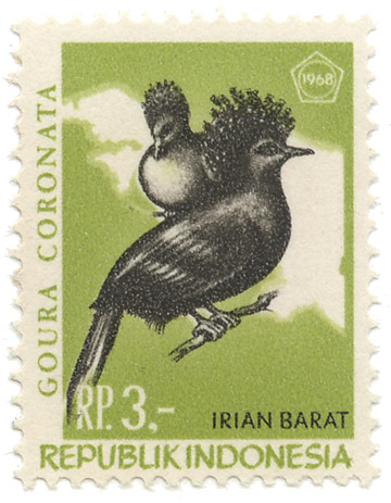 Goura Coronata - Irian Barat