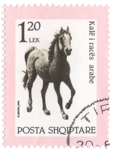 KalÃ« i racÃ«s - arabe