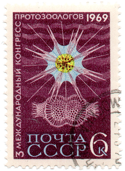 3 Ð¼ÐµÐ¶Ð´ÑƒÐ½Ð°Ñ€Ð¾Ð´Ð½Ñ‹Ð¹ ÐºÐ¾Ð½Ð³Ñ€ÐµÑÑ Ð¿Ñ€Ð¾Ñ‚Ð¾Ð·Ð¾Ð¾Ð»Ð¾Ð³Ð¾Ð² 1969