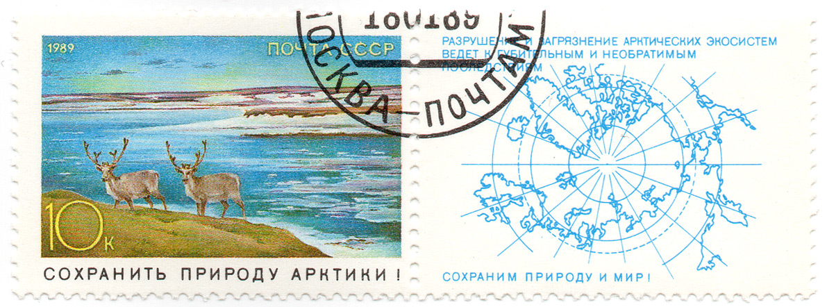 Ð¡Ð¾Ñ…Ñ€Ð°Ð½Ð¸Ñ‚ÑŒ Ð¿Ñ€Ð¸Ñ€Ð¾Ð´Ñƒ Ð°Ñ€ÐºÑ‚Ð¸ÐºÐ¸! Ð Ð°Ð·Ñ€ÑƒÑˆÐµÐ½Ð¸Ðµ Ð¸ Ð—Ð°Ð³Ñ€ÑÐ·Ð½ÐµÐ½Ð¸Ðµ Ð°Ñ€ÐºÑ‚Ð¸Ñ‡ÐµÑÐºÐ¸Ðµ Ð²ÐµÐ´ÐµÑ‚ Ðº Ð³ÑƒÐ±Ð¸Ñ‚ÐµÐ»ÑŒÐ½Ñ‹Ð¼ Ð¸ Ð½ÐµÐ¾Ð±Ñ€Ð°Ñ‚Ð¸Ð¼Ñ‹Ð¼ Ð¿Ð¾ÑÐ»ÐµÐ´ÑÑ‚Ð²Ð¸ÑÐ¼ - Ð¡Ð¾Ñ…Ñ€Ð°Ð½Ð¸Ð¼ Ð¿Ñ€Ð¸Ñ€Ð¾Ð´Ñƒ Ð¼Ð¸Ñ€!