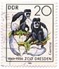 1861-1986 - Zoo Dresden - Guereza 