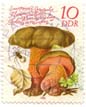 EuropÃ¤ische Speisepilze - Flockenstieliger HexenrÃ¶hrling - Boletus erythropus 