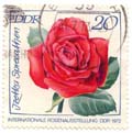 Internationale Rosenausstellung DDR 1972 - Izetka Spreeathen