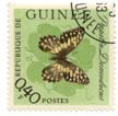 Papilio Demodocus - Republique de Guinee