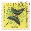 Papilio Nireus - Republique de Guinee