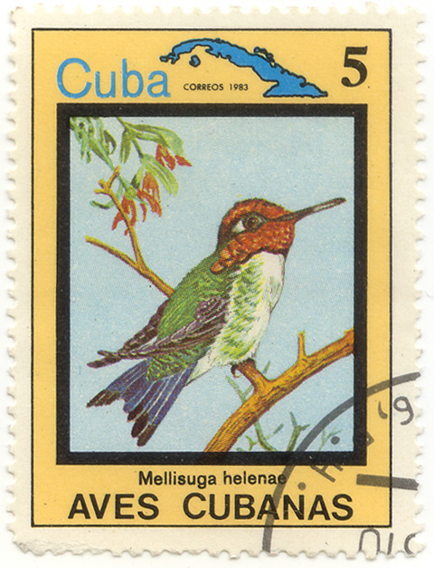 Aves Cubanas - Mellisuga helenae - Cuba correos