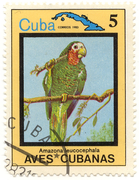 Aves Cubanas - Amazona leucocephala - Cuba correos
