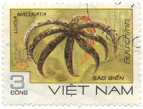 Việt Nam - Bưu chính - Luidia Maculata - Sao biến