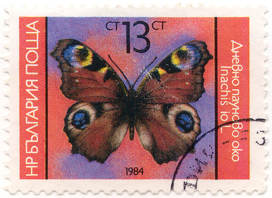 ÐÐ½ÐµÐ²Ð½Ð¾ Ð¿Ð°ÑƒÐ½Ð¾Ð²Ð¾ Ð¾ÐºÐ¾ - Inachis io L.