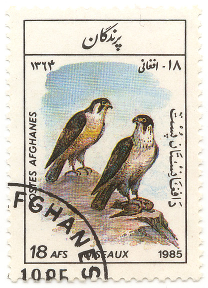 Oiseaux - Postes Afghanes
