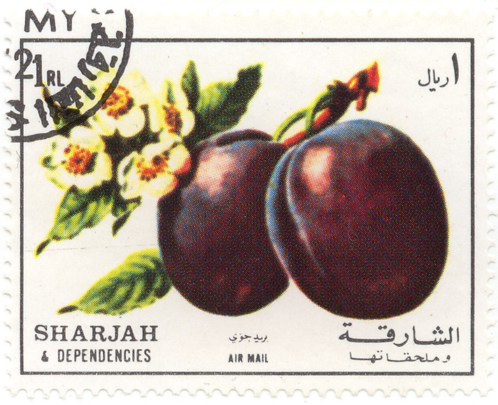 Sharjah and Depedencies - Air mail