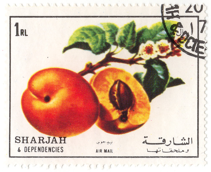 Sharjah and Depedencies - Air mail