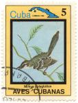 Aves Cubanas - Mimus polyglottos - Cuba correos