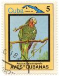 Aves Cubanas - Amazona leucocephala - Cuba correos