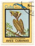 Aves Cubanas - Pelecanus occidentalis - Cuba correos