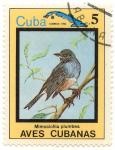 Aves Cubanas - Mimocichla plumbea - Cuba correos