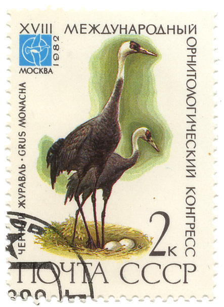 Ñ‡ÐµÑ€Ð½Ñ‹Ð¹ Ð¶ÑƒÑ€Ð°Ð²Ð»ÑŒ - Grus monacha - XVIII ÐœÐµÐ¶Ð´ÑƒÐ½Ð°Ñ€Ð¾Ð´Ð½Ñ‹Ð¹ Ð¾Ñ€Ð½Ð¸Ñ‚Ð¾Ð»Ð¾Ð³Ð¸Ñ‡ÐµÑÐºÐ¸Ð¹ ÐºÐ¾Ð½Ð³Ñ€ÐµÑÑ ÐœÐ¾ÑÐºÐ²Ð° 1982