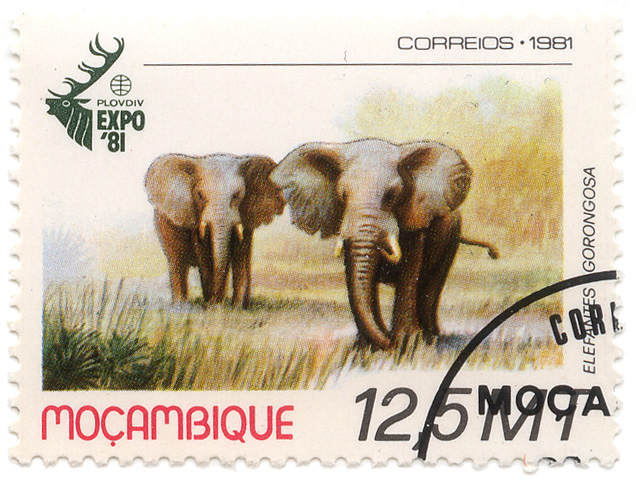 Plovdiv Expo Â´81 - Elefantes gorongosa