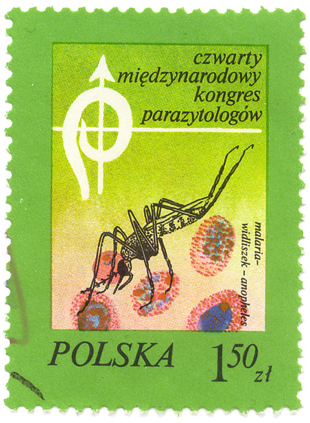 Czwarty miÄ™dzynarodowy kongres parazytologÃ³w - Malaria - widliszek - anopheles