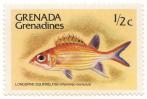 Grenada - Grenadines - Longspine Squirrelfish (Flammeo marianus)