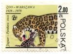 Zoo - Warszawa 1928-1978 - Jaguar - Panthero onca